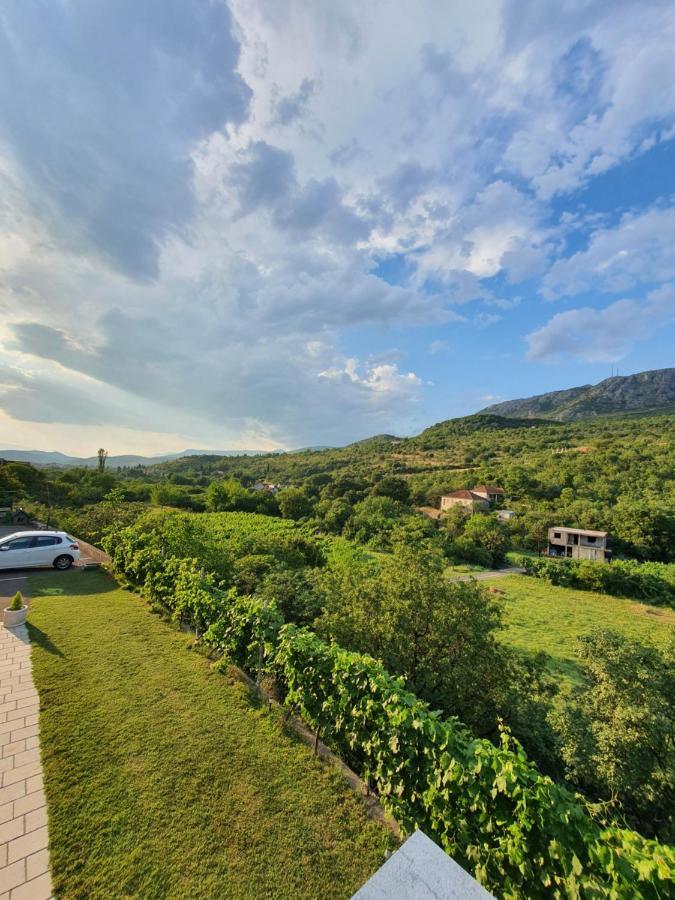 Djukic Winery Apartment Podgorica Luaran gambar